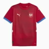 Kopen EK 2024 Servië Aleksandar Mitrović #9 Thuisshirt Korte Mouw-1