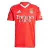 Benfica Thuisshirt 2024-2025 Pavlidis 14 Korte Mouw voordelig online kopen-1