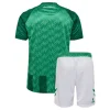 Kids Werder Bremen Thuisshirt 2024-2025 Korte Mouw (+ Korte broeken) voordelig online kopen-1
